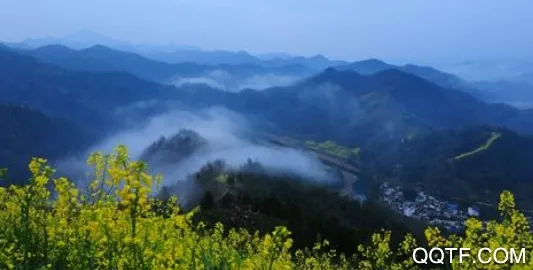 阅龙湾安卓版手机版 阅龙湾安卓版手机版