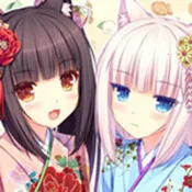 ɿ2025ٷ°汾v4.0 ֻ