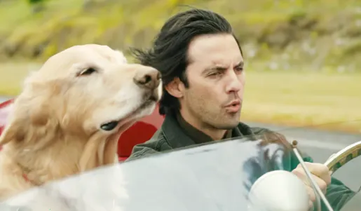 乐乐影视(影视播放) 乐乐影视(影视播放)