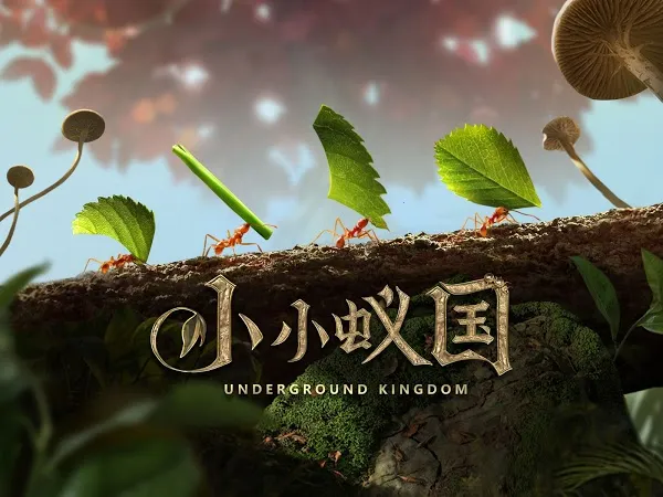 小小蚁国安卓版手机版 小小蚁国安卓版手机版