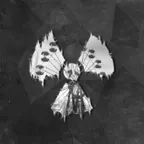 ս������2025����v2023.1.2 �ٷ�����