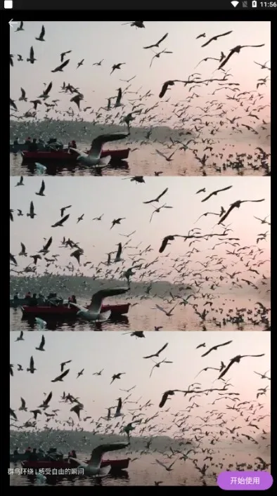 pixverse安卓版手机版 pixverse安卓版手机版