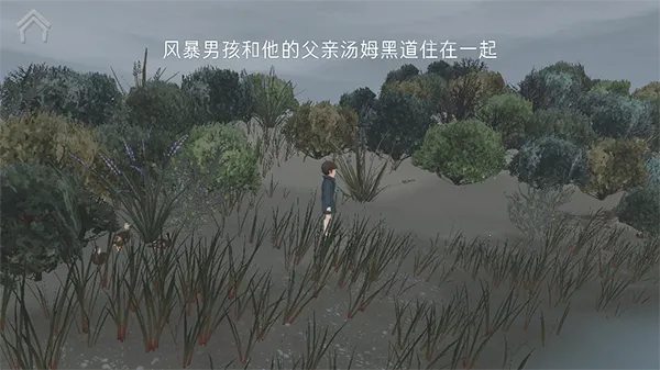 男孩与鹈鹕(冒险治愈游戏)