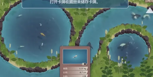 锦鲤农场(锦鲤养殖游戏)