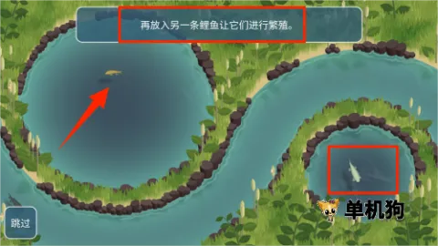 锦鲤农场(锦鲤养殖游戏)