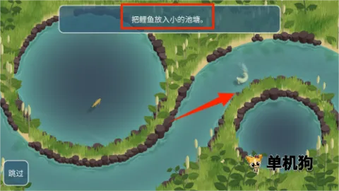 锦鲤农场 第2张图