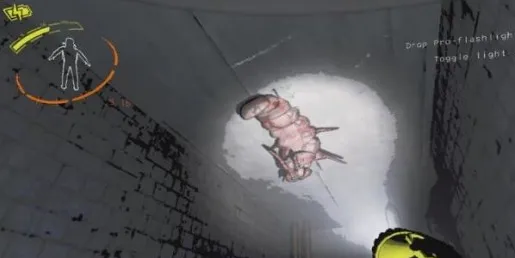 致命公司(恐怖生存游戏)