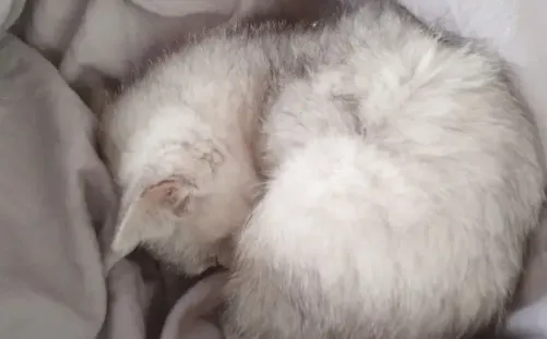 笔趣看书阁红色(小说阅读软件)