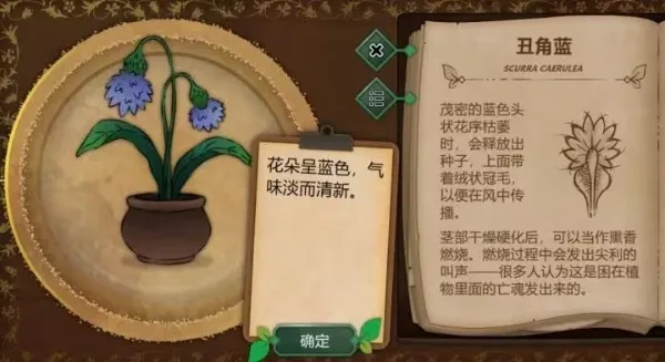 奇异园艺2025下载 奇异园艺2025下载