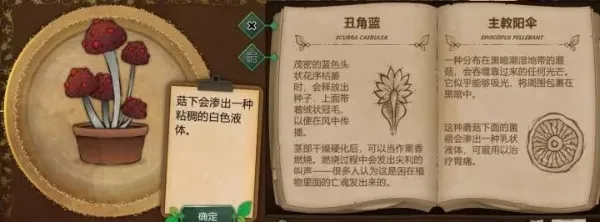 奇异园艺2025下载 奇异园艺2025下载