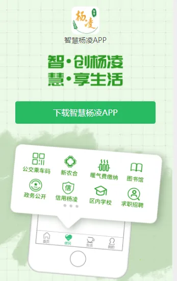 �ǻ�����(����������)