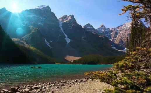 ������ֽ(��ֽ��Դ����)