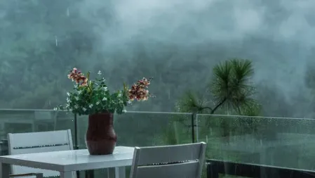 ����ʵʱԤ������(������ѯ����)