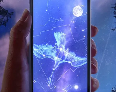 ��ͼ(���Ĺ۲�����)