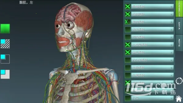 人体解剖学图集 v(解剖学学习工具) 人体解剖学图集 v(解剖学学习工具)