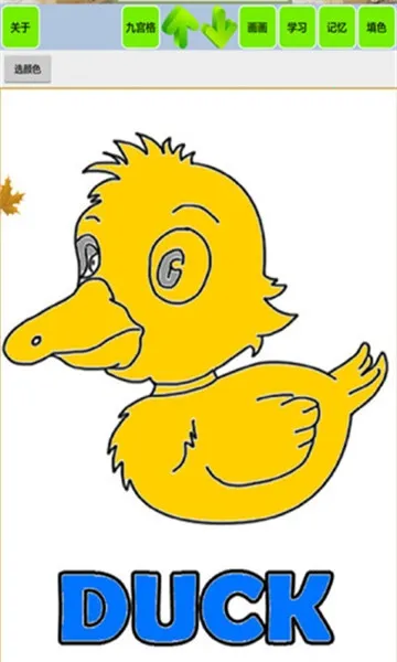 ����ʶ�����������������ֻ���