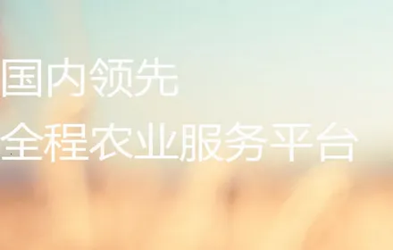 �ֵر�2025����