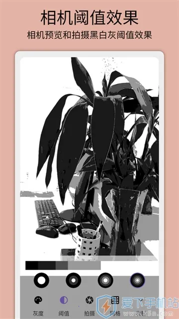 灰阈相机2025官方最新版本 灰阈相机2025官方最新版本