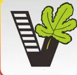 ��Ҫ��ѧ��2025�ٷ�����v1.11.5 app