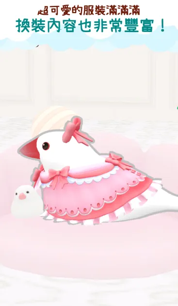 文鸟物语最新手机版 文鸟物语最新手机版