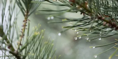 �ڹ�ͼ��2025�ٷ�����