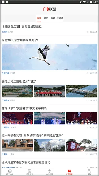 ��������2026�ٷ�����