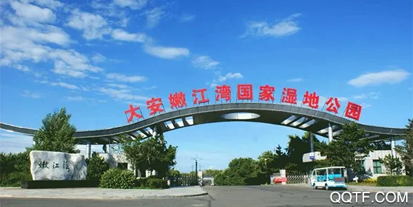 大安融媒(本地生活服务端) 大安融媒(本地生活服务端)