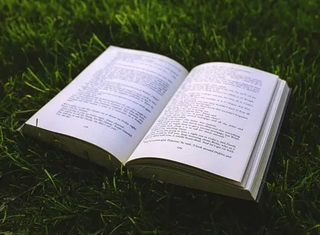 �ᰮ�Ķ�2026���°汾