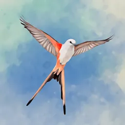 չ�᰿��2026����v1.5.546 �ٷ�����