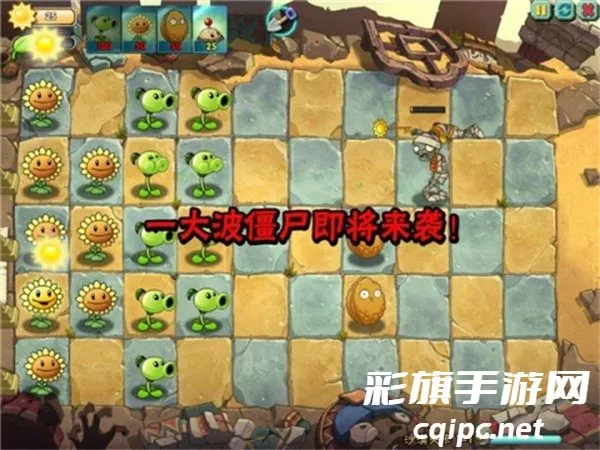 植物大战僵尸OL 植物大战僵尸OL