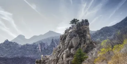 ��Ʊ��ý2026�ٷ�����