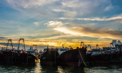 i汕尾(汕尾综合服务平台) i汕尾(汕尾综合服务平台)