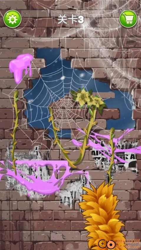 �Ⱦ�����2026����