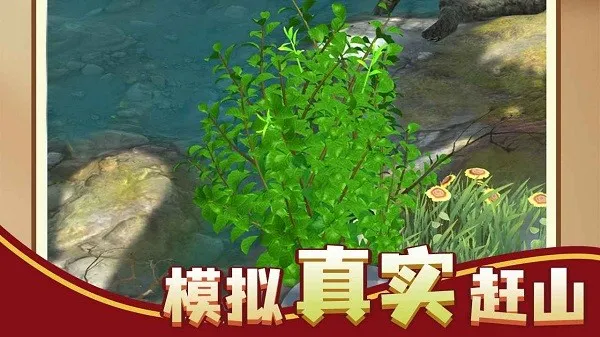 ��ɽ�Ϻ�������