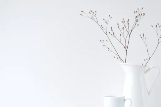 一点浏览器 一点浏览器