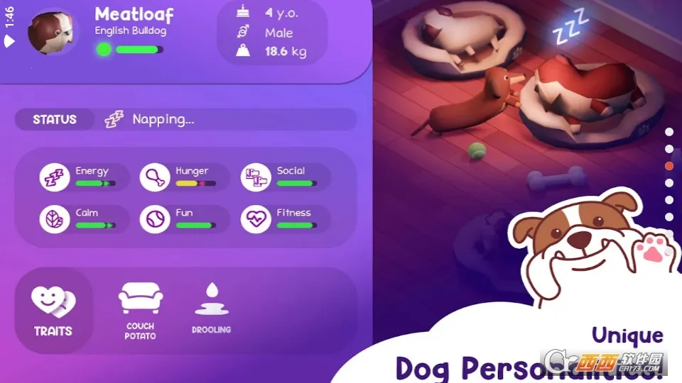 �������Ƶ�2026�ٷ�����