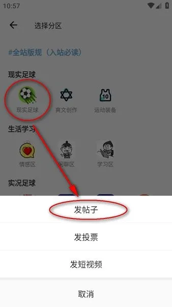 大众评球2025官方正版 大众评球2025官方正版