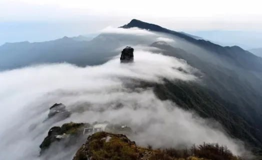 妙鸭(相机拍摄修图) 妙鸭(相机拍摄修图)