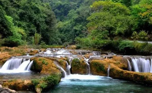 妙鸭(相机拍摄修图) 妙鸭(相机拍摄修图)