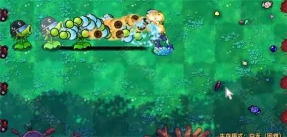 pvz��˫��2026���ذ�װ