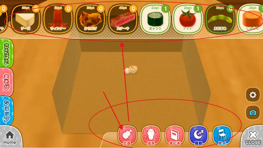 ССŷ��ɣ����������2026���°汾