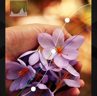 mix�˾�2026���ذ�װ