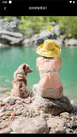 ReLens���Ȧ�黯�������2026���°汾