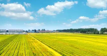 �й�ũ���ƹ�