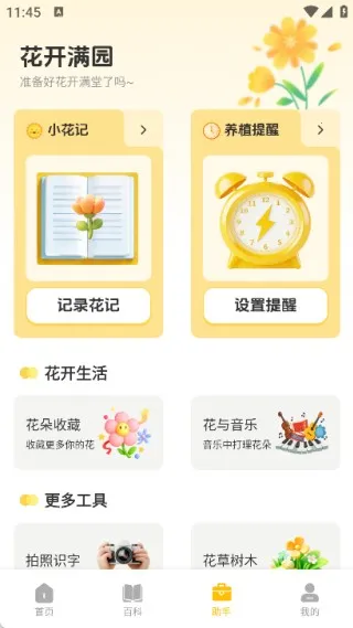 ʱС������2026�ٷ�����