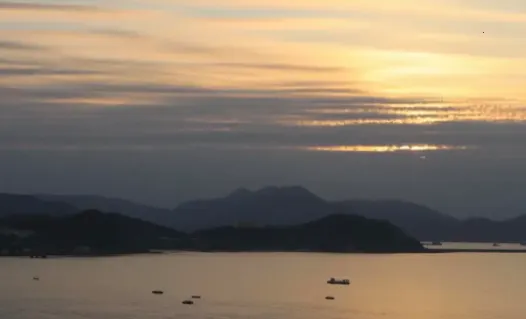 AI�ٱ���������ֻ���