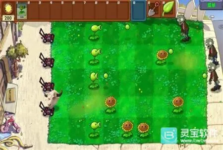 pvz牛头 pvz牛头