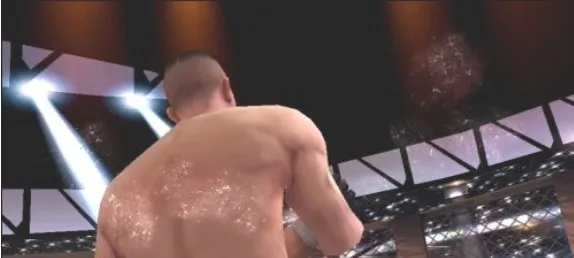 �µ�����ά��˹���°�