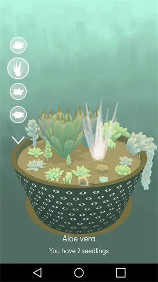 ��������2026�ٷ����°汾