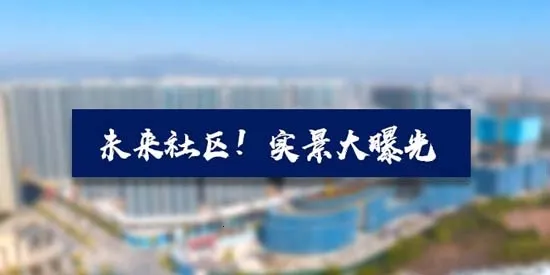 �𻪷���2026�ٷ�����